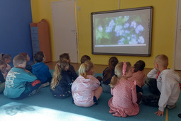 "Pracusie" obchodzą Dzień Niezapominajki - realizacja projektu: "W zgodzie z naturą"