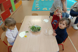 "Mądrale" biorą udział w zabawach badawczych na łące